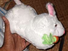 Image Placeholder