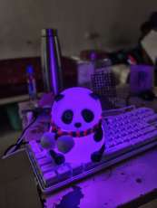 Image Placeholder