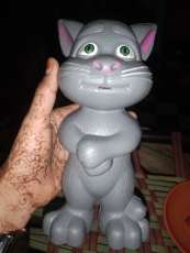 Image Placeholder