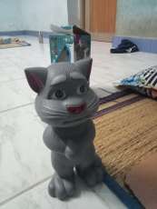 Image Placeholder