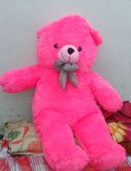 Image Placeholder