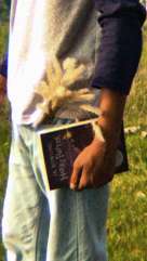 Image Placeholder
