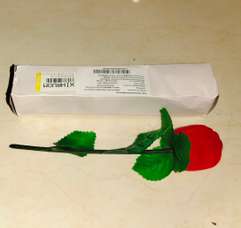 Image Placeholder