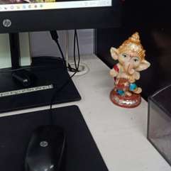 Image Placeholder