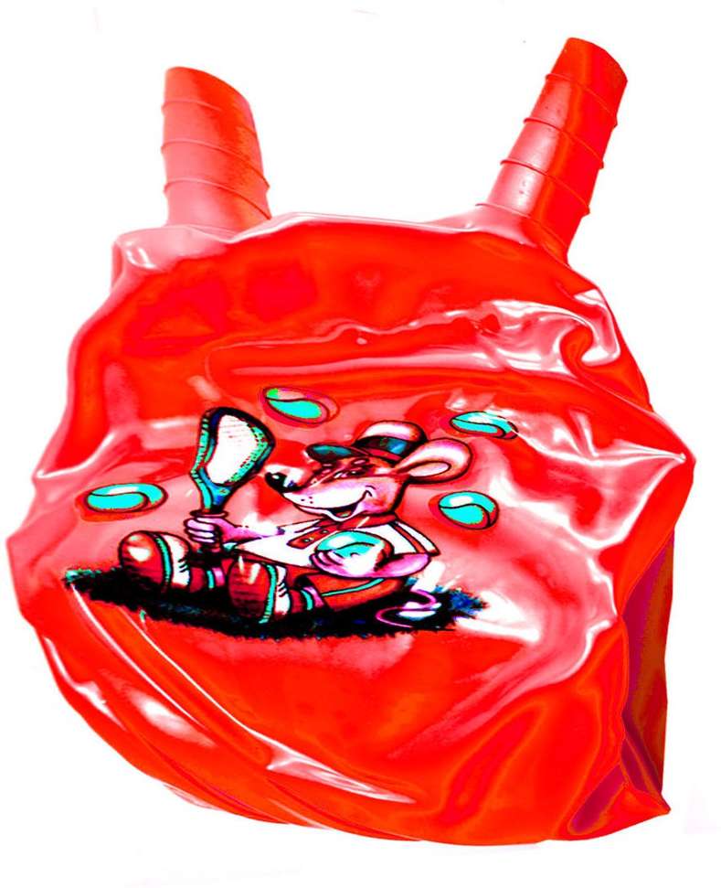 Image Placeholder