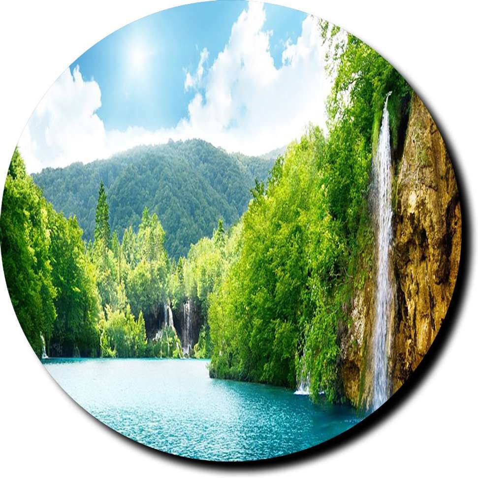 Image Placeholder