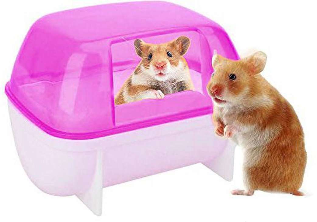 Image Placeholder