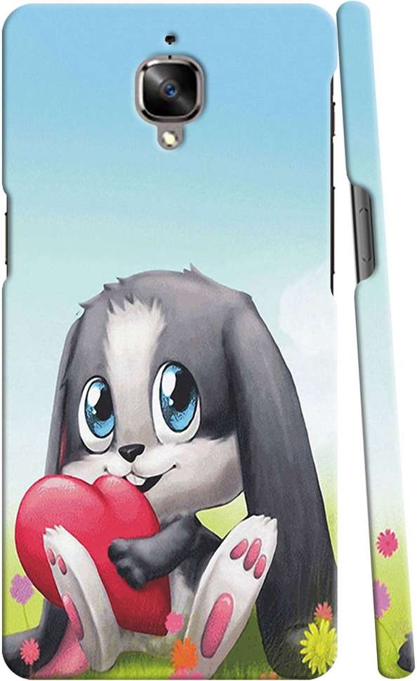 Image Placeholder