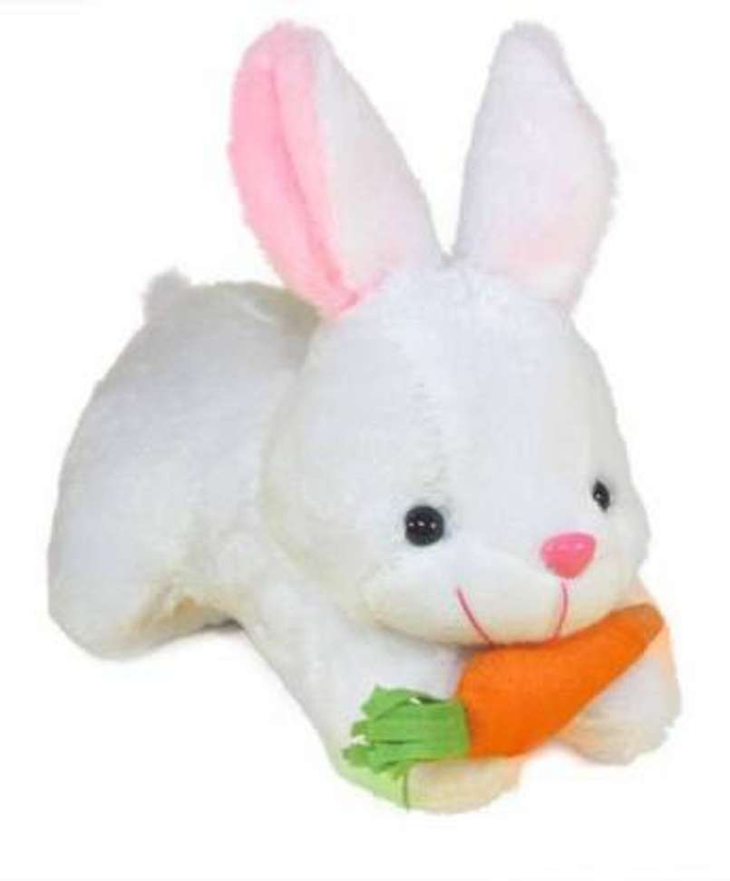 Image Placeholder
