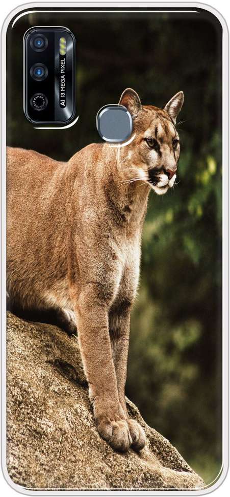 Image Placeholder