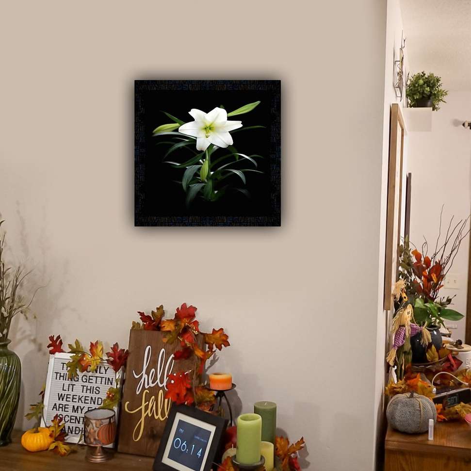 Image Placeholder