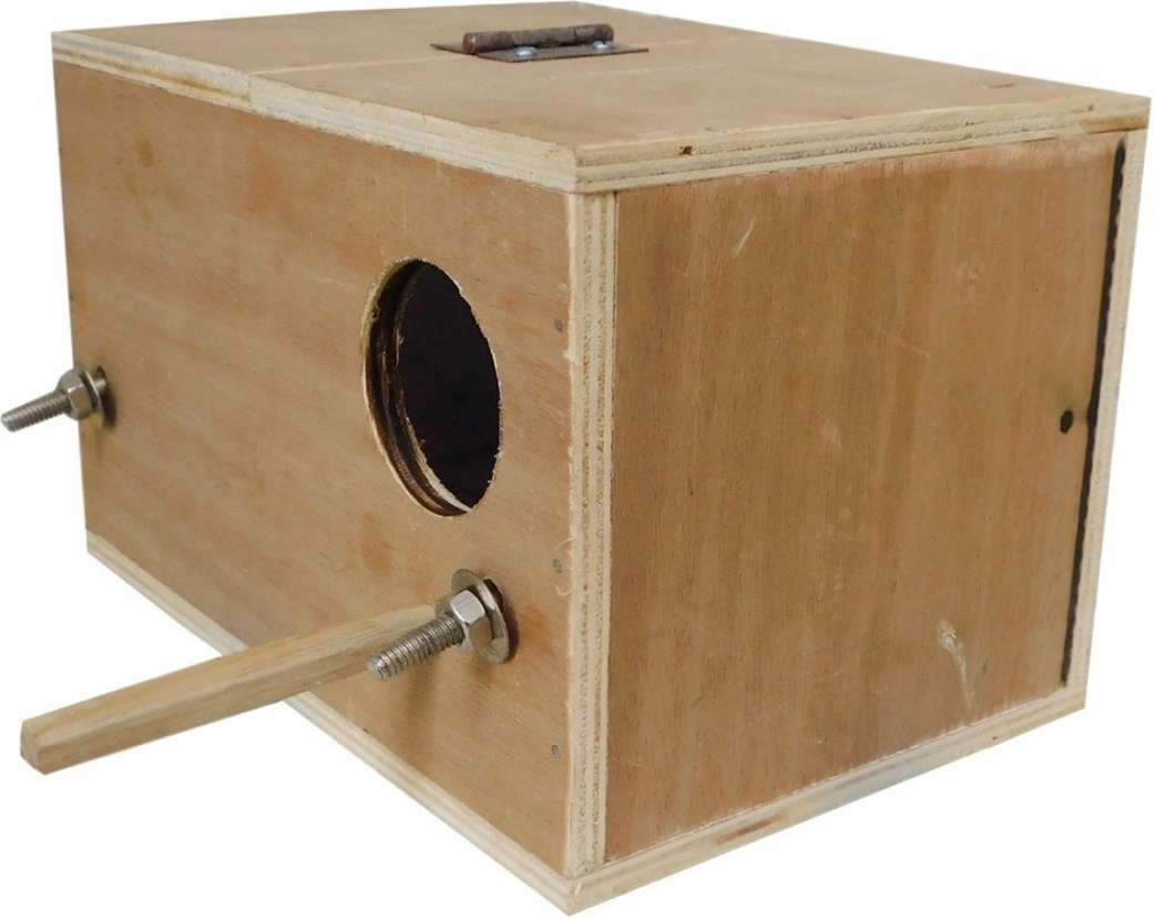 Image Placeholder