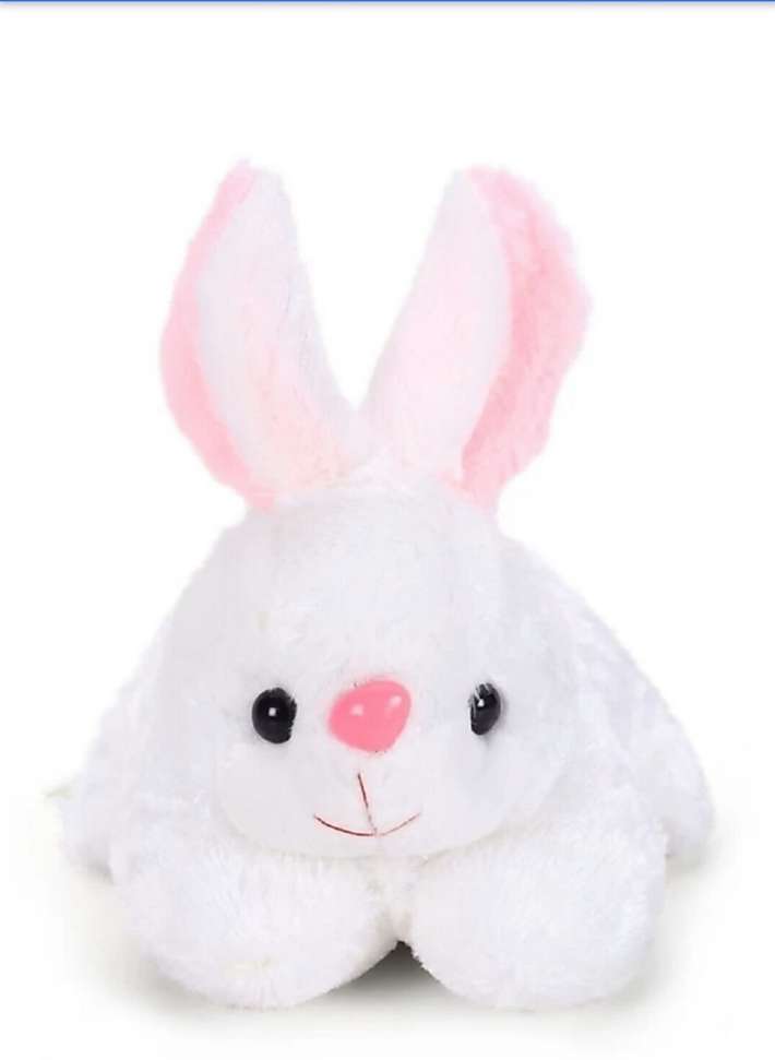 Image Placeholder