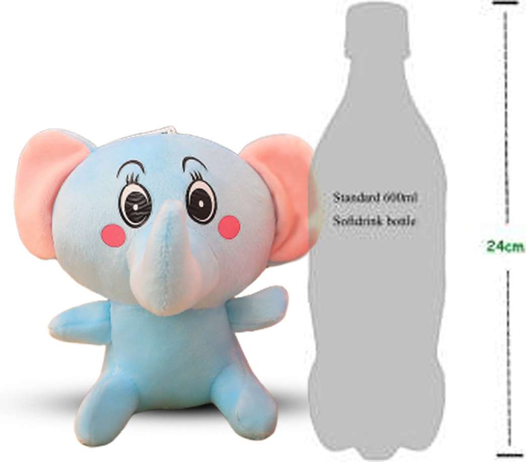 Image Placeholder