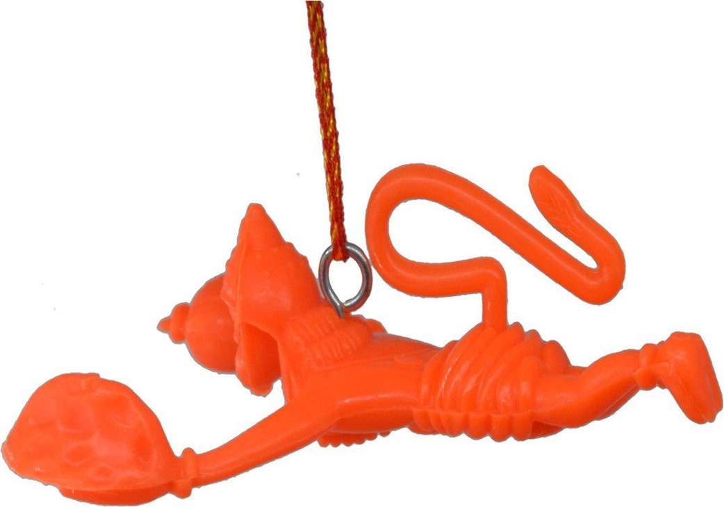 Image Placeholder