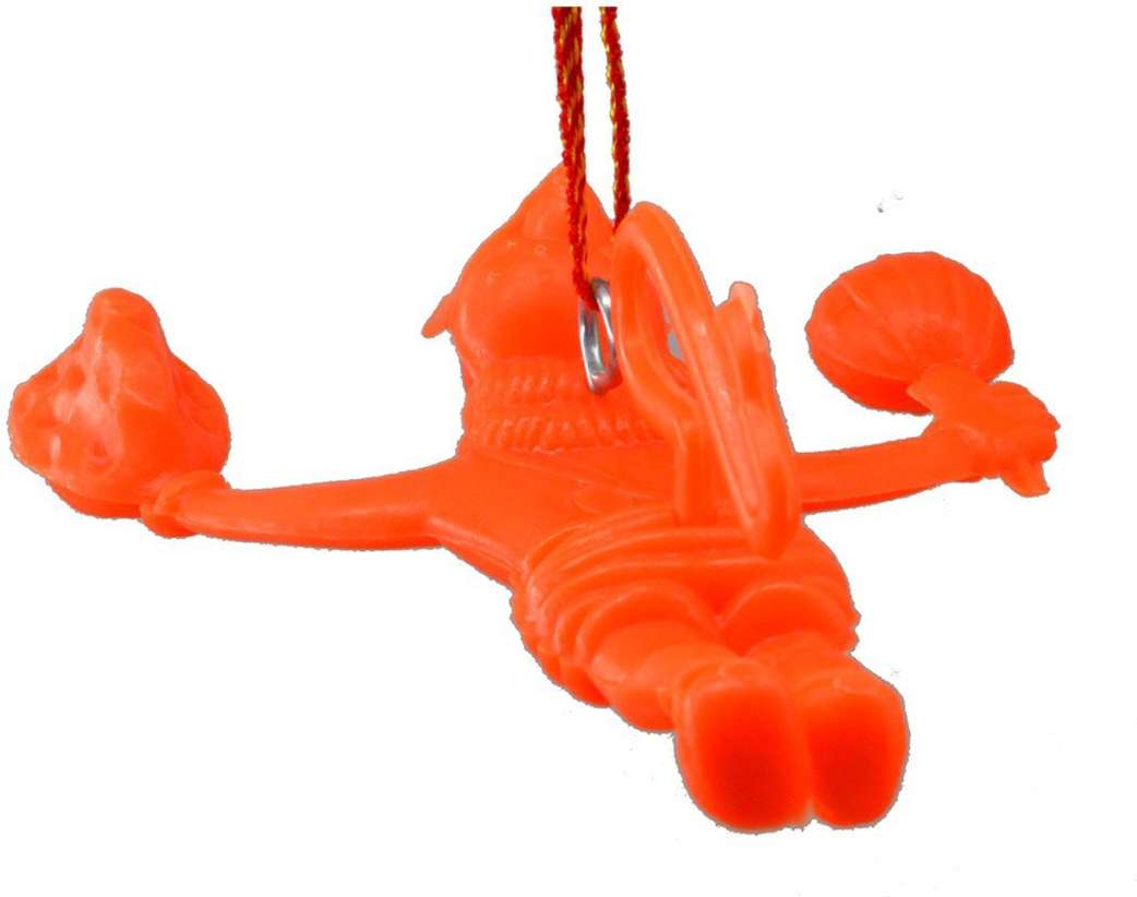 Image Placeholder