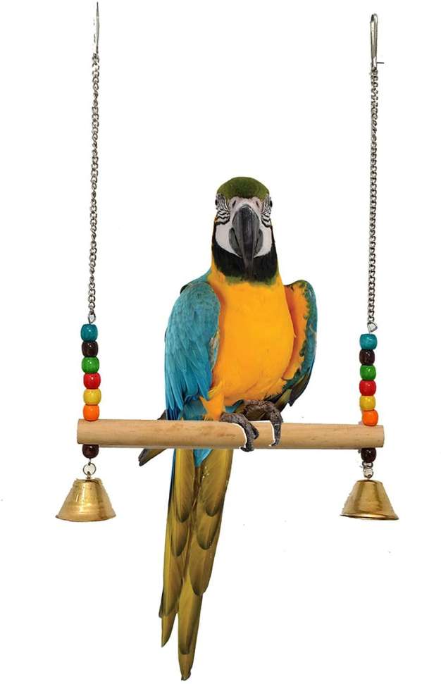 Image Placeholder