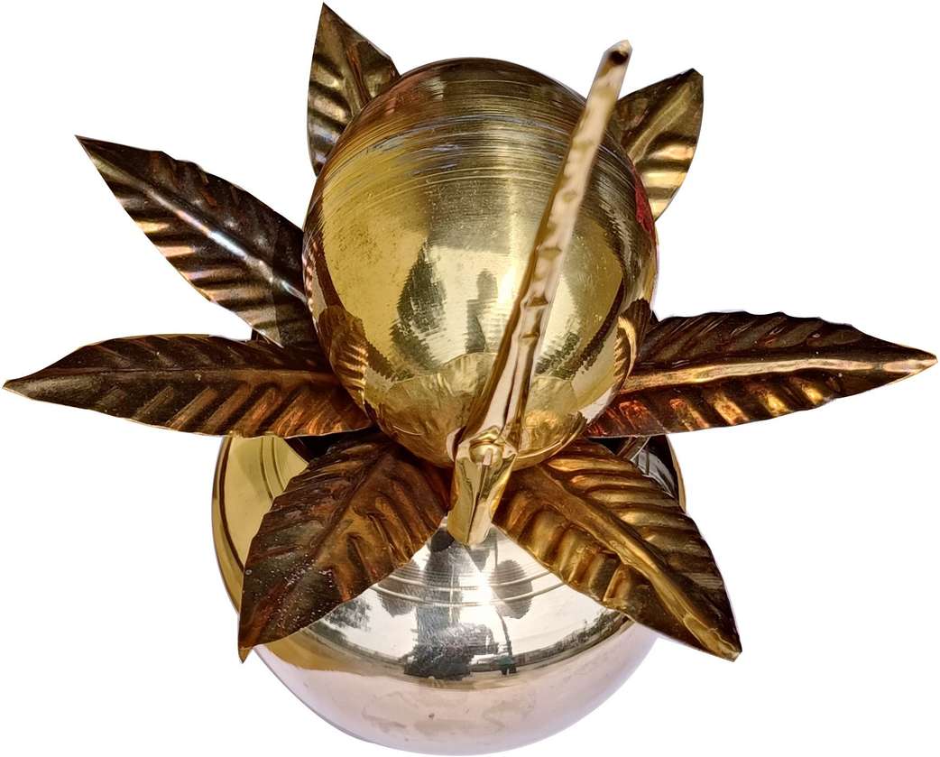 Image Placeholder