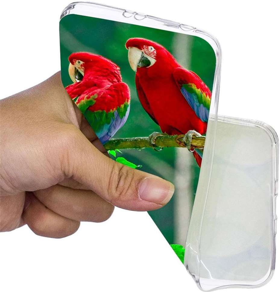Image Placeholder