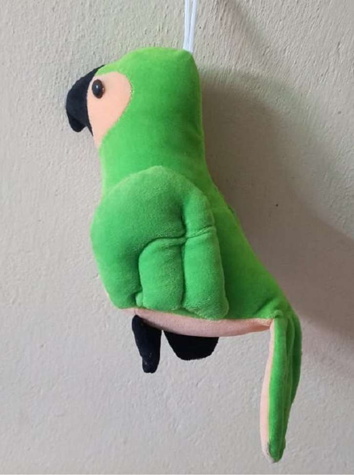 Image Placeholder