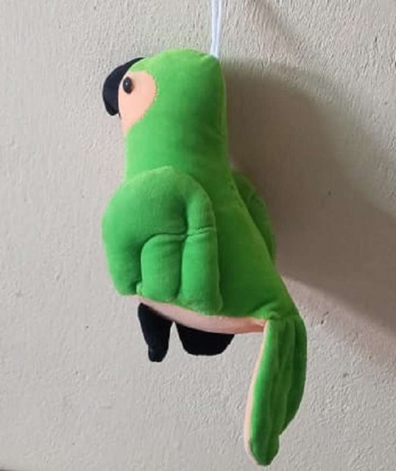 Image Placeholder