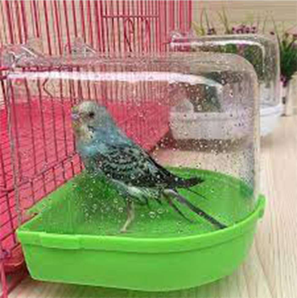 Image Placeholder