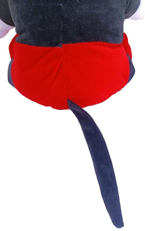 Image Placeholder