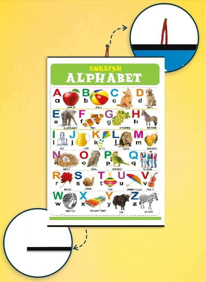 Image Placeholder
