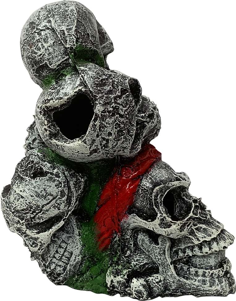 Image Placeholder