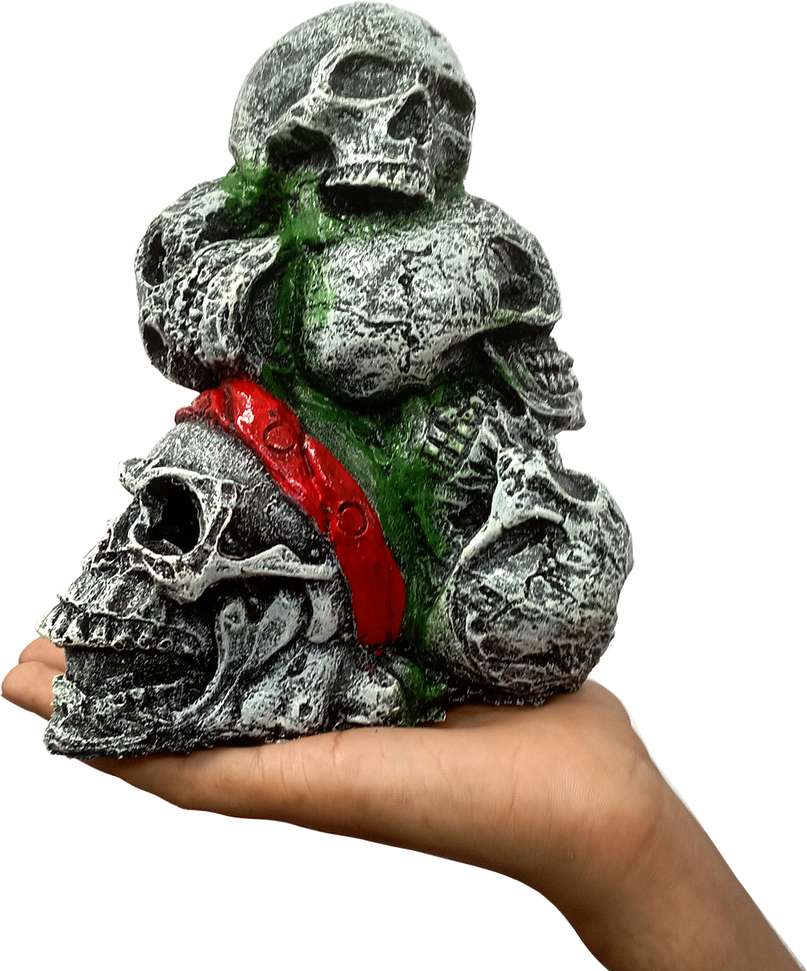 Image Placeholder