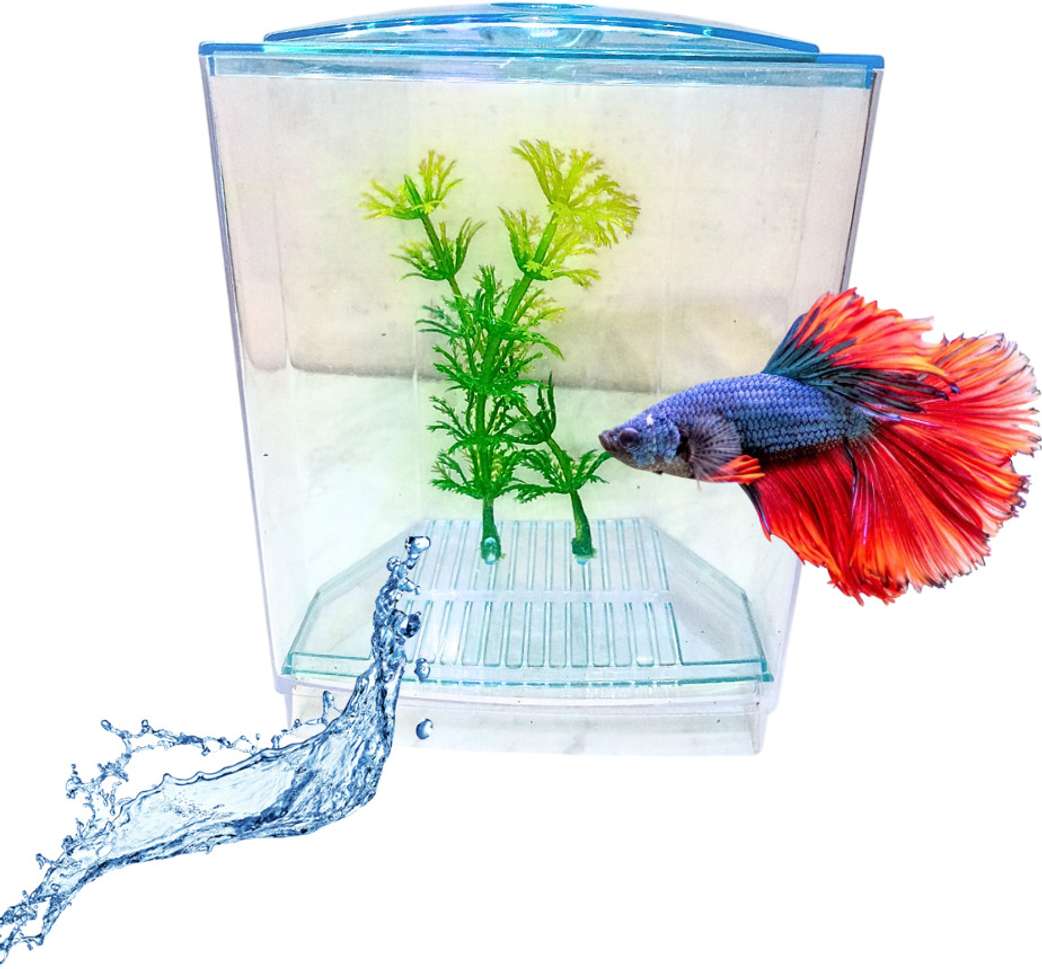 Image Placeholder