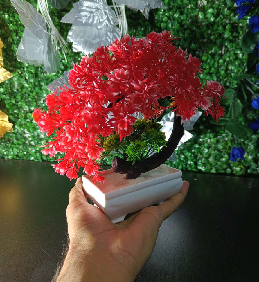 Image Placeholder