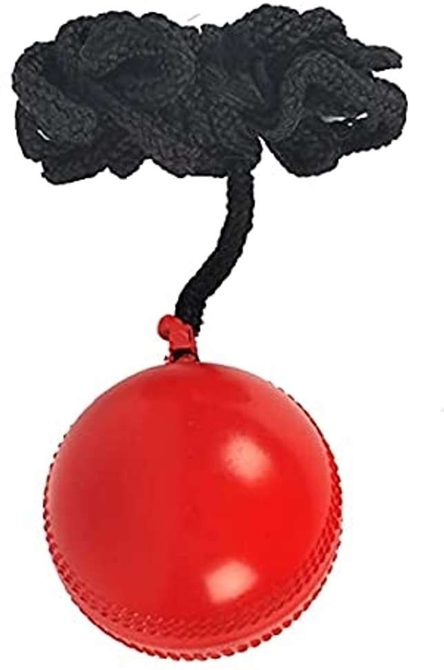 Image Placeholder