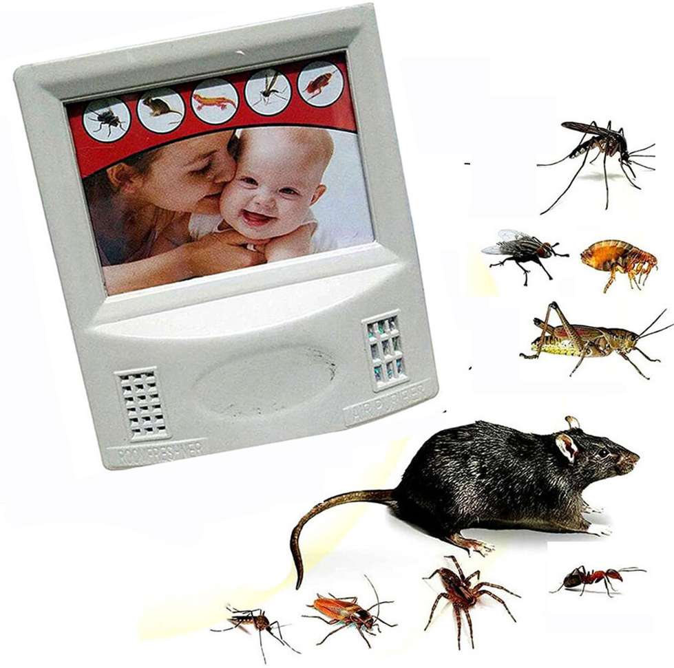 Image Placeholder