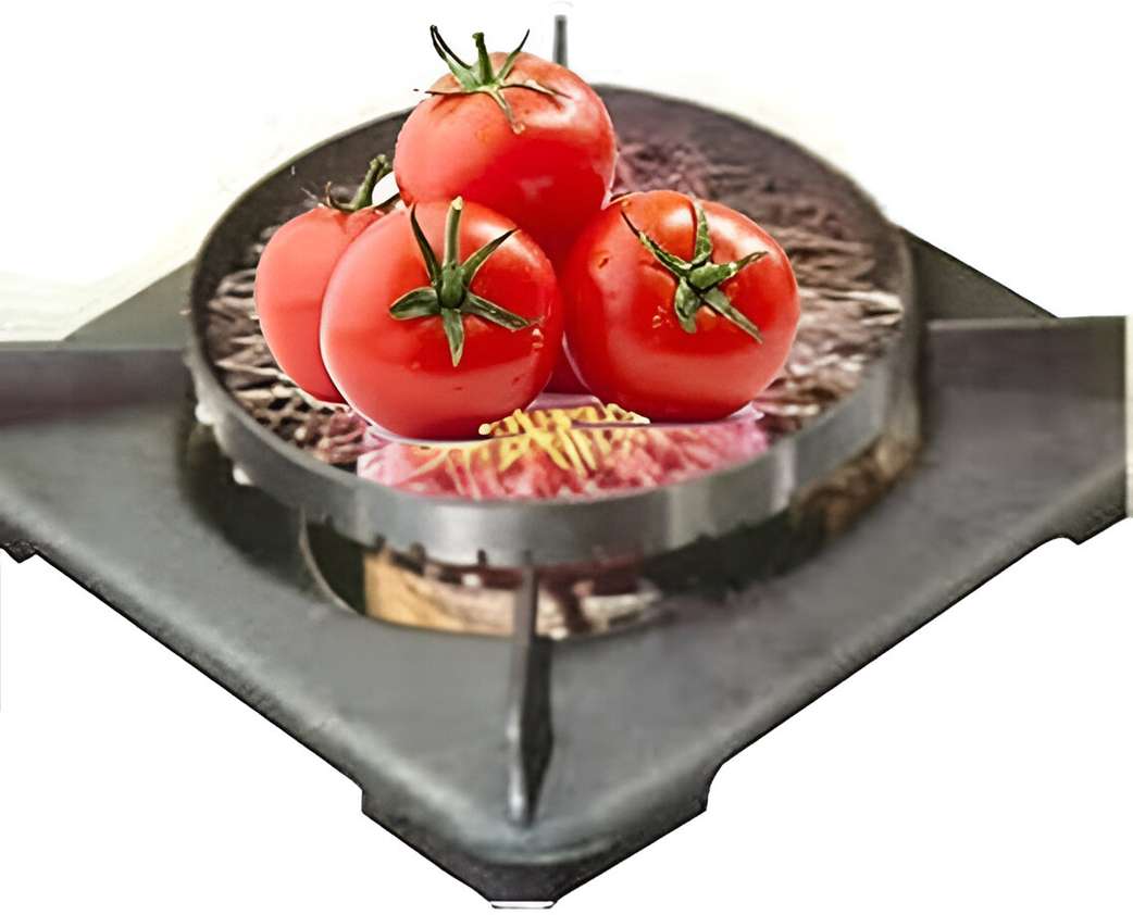 Image Placeholder