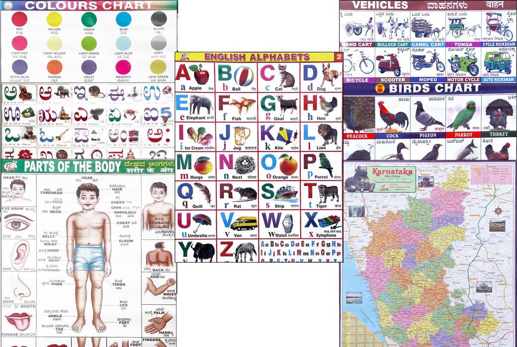 Image Placeholder