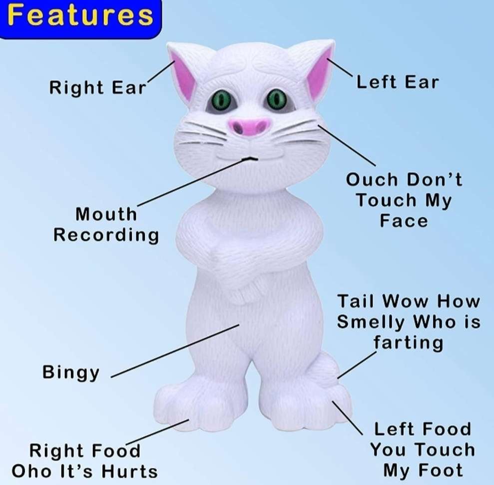 Image Placeholder