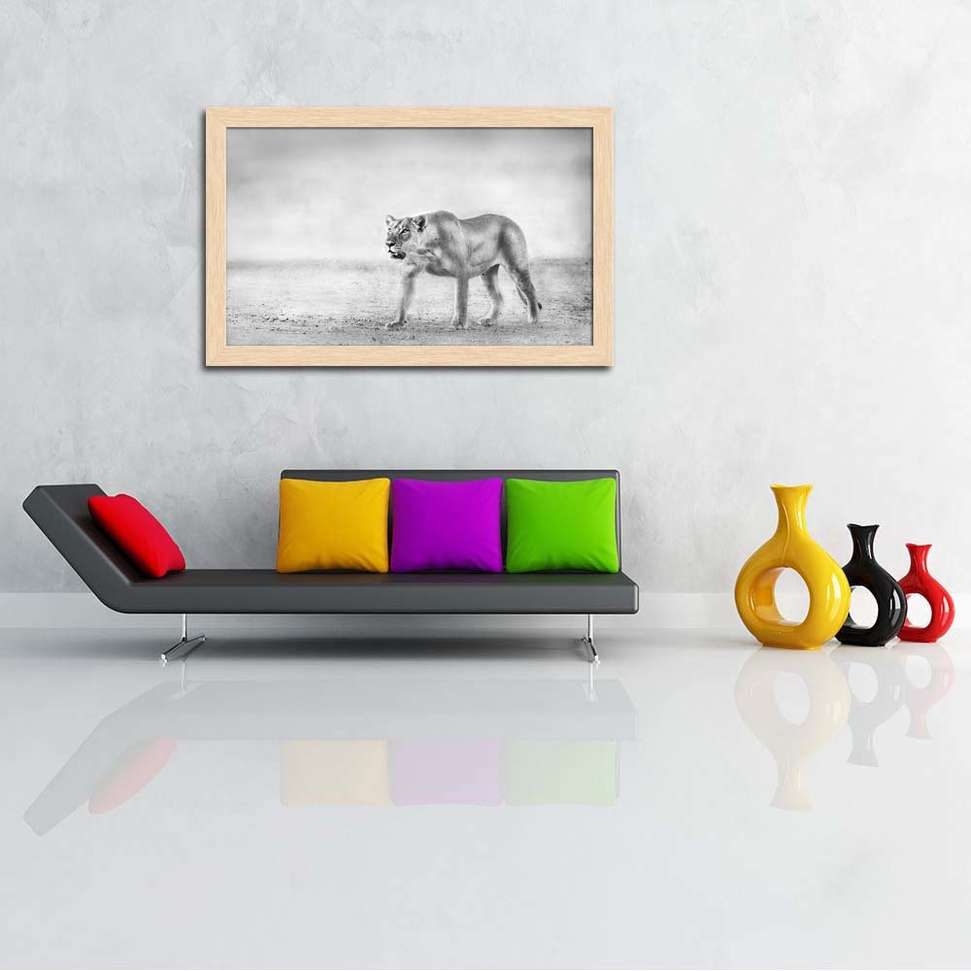 Image Placeholder