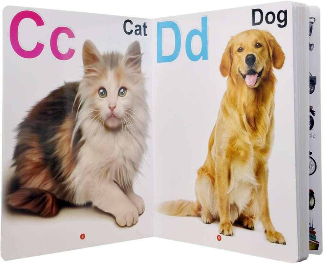 Image Placeholder