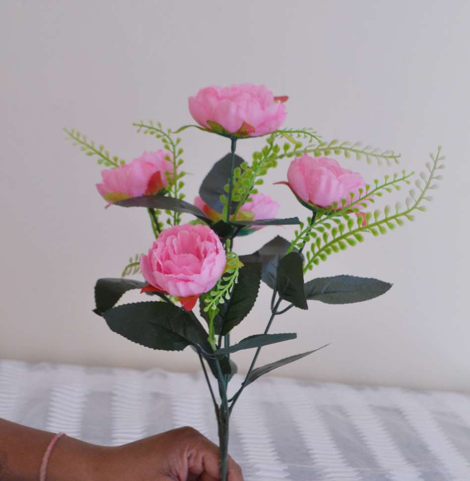 Image Placeholder