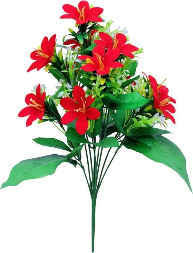 Image Placeholder