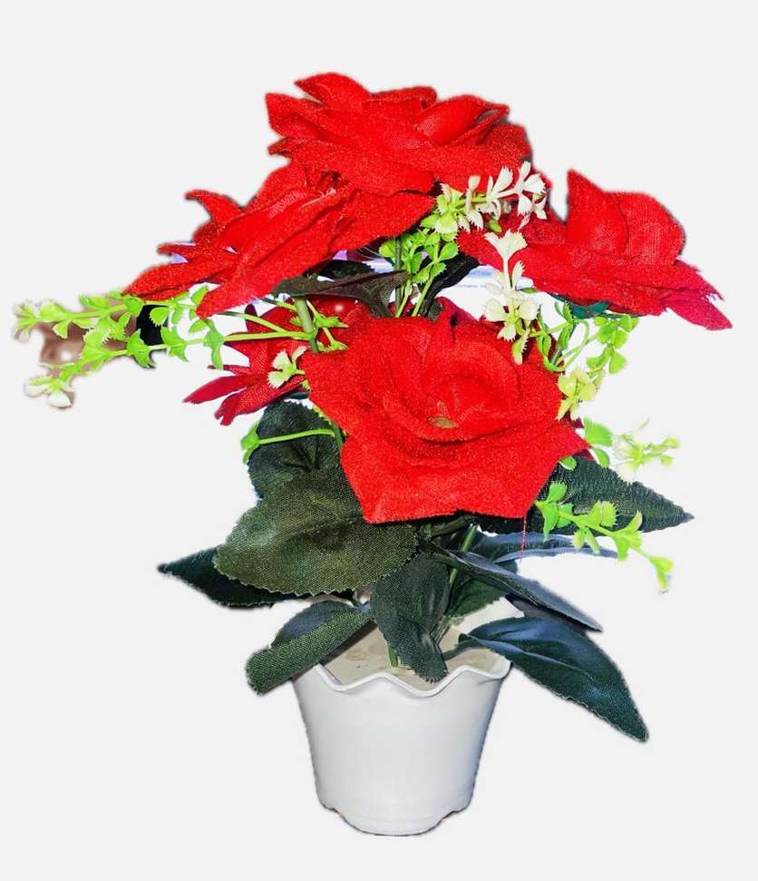 Image Placeholder