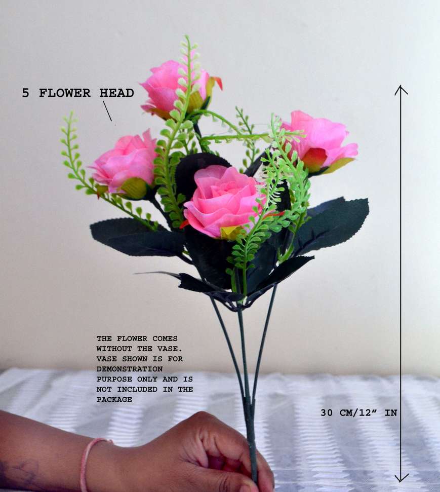 Image Placeholder