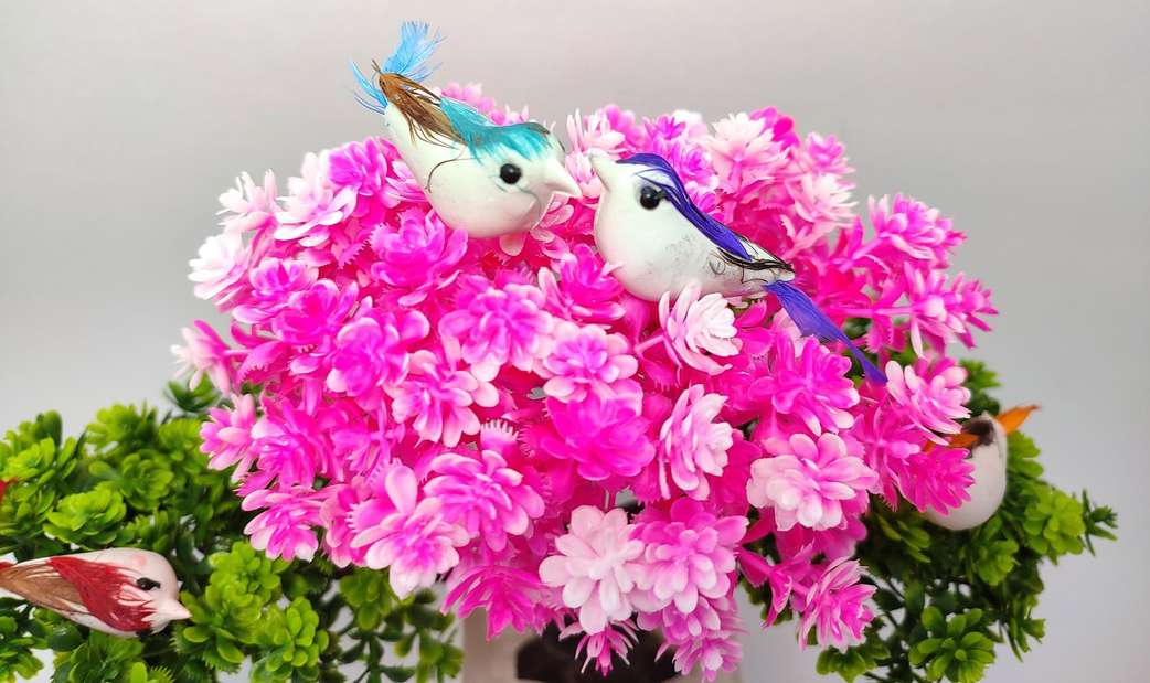 Image Placeholder