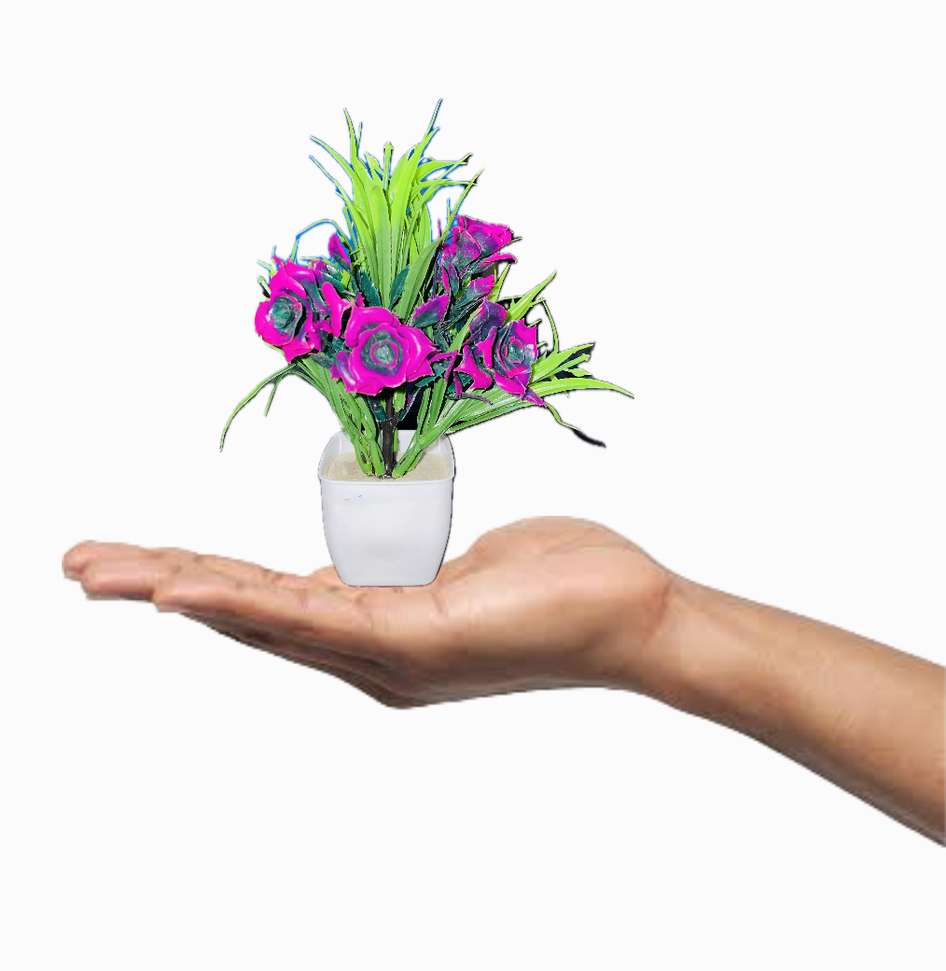 Image Placeholder