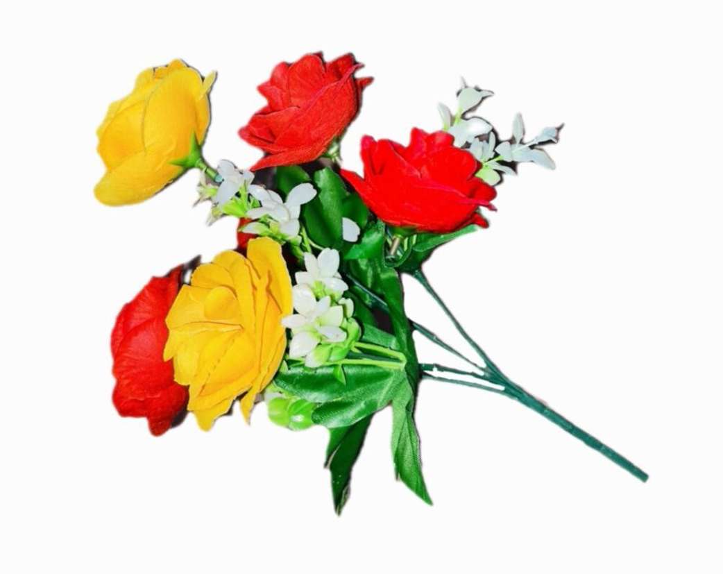 Image Placeholder