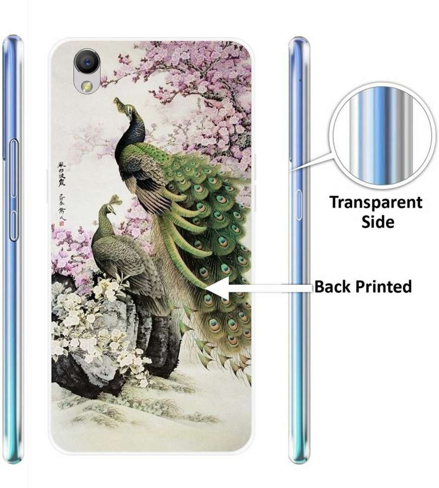 Image Placeholder