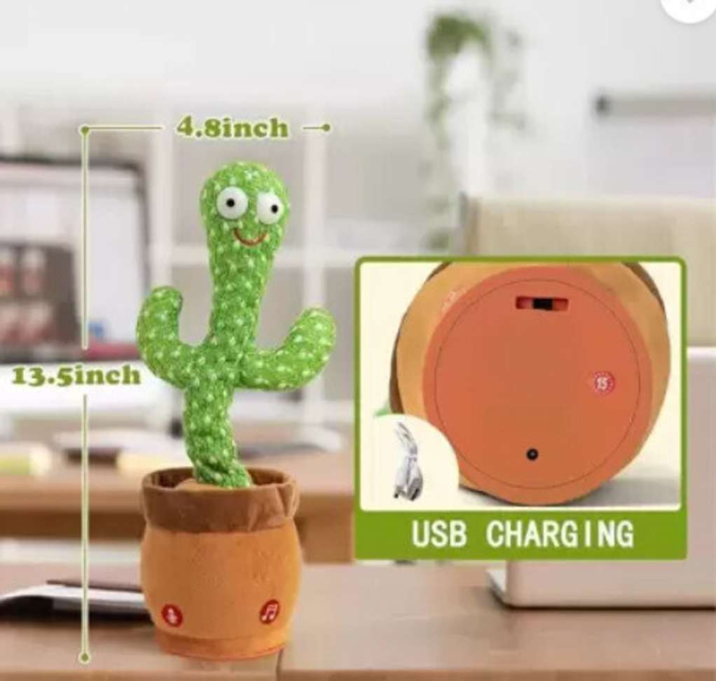 Image Placeholder