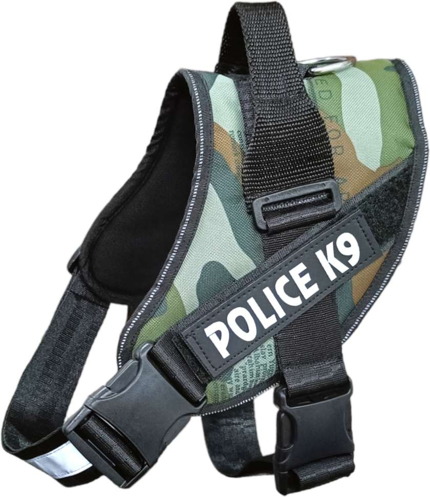 Image Placeholder