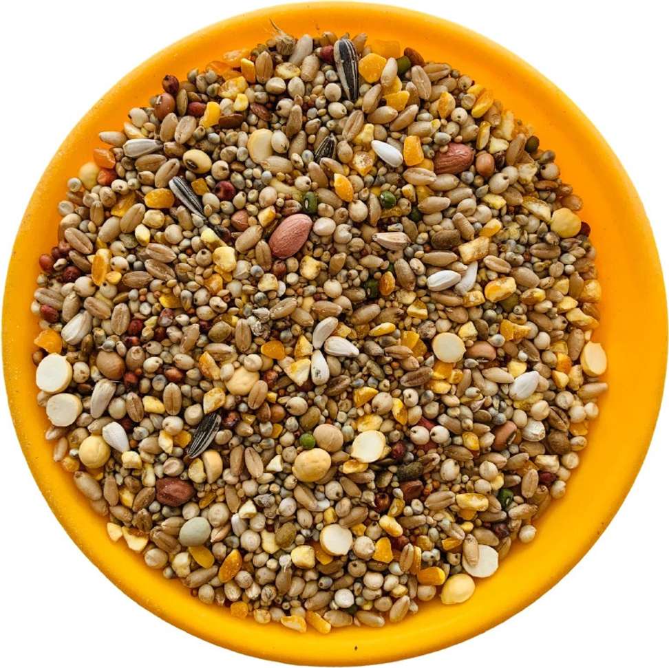 Image Placeholder